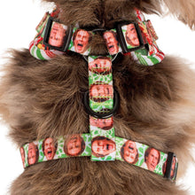Load image into Gallery viewer, ELF - OMG! SANTA!: Adjustable Harness
