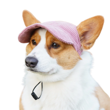 Load image into Gallery viewer, Best selling Corduroy dog hat