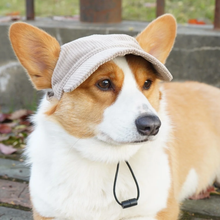 Load image into Gallery viewer, Best selling Corduroy dog hat