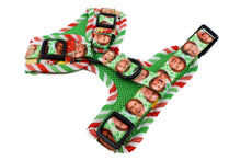 Load image into Gallery viewer, ELF - OMG! SANTA!: Adjustable Harness