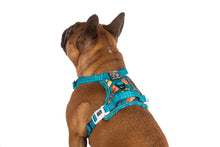 Load image into Gallery viewer, Big and Little Dogs - THE ALL-ROUNDER DOG HARNESS: Sausage Sizzle