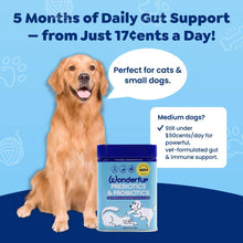 Load image into Gallery viewer, Wonderfur - Wonderfur Prebiotics & Probiotics for dogs and cats 150g