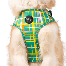 Load image into Gallery viewer, Groovy Grid: ADJUSTABLE HARNESS