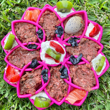 Load image into Gallery viewer, Rover Pet Products - Mandala eTray Slowfeeder eTray: Purple