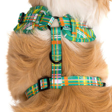 Load image into Gallery viewer, Groovy Grid: ADJUSTABLE HARNESS