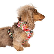 Load image into Gallery viewer, ELF - OMG! SANTA!: Adjustable Harness