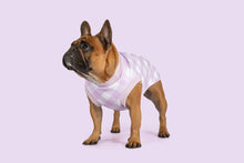 Load image into Gallery viewer, DOG FLEECE VEST: BERRY GINGHAM