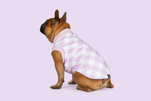 Load image into Gallery viewer, DOG FLEECE VEST: BERRY GINGHAM