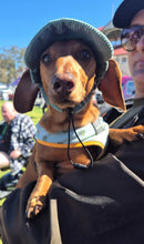 Load image into Gallery viewer, Best selling Corduroy dog hat