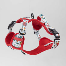 Load image into Gallery viewer, Comfort Explorer Harness: FARM