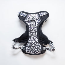Load image into Gallery viewer, REFLECTIVE Comfort Explorer Harness: PEBBLES