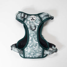 Load image into Gallery viewer, Comfort Explorer Harness: MONSTERAS