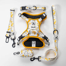 Load image into Gallery viewer, Comfort Explorer Harness: HONEY