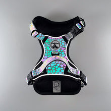 Load image into Gallery viewer, REFLECTIVE Comfort Explorer Harness: PEBBLES