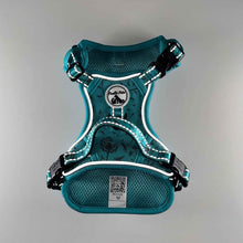 Load image into Gallery viewer, Comfort Explorer Harness: DANDELION