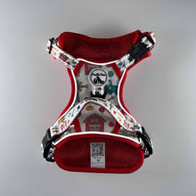 Load image into Gallery viewer, Comfort Explorer Harness: FARM