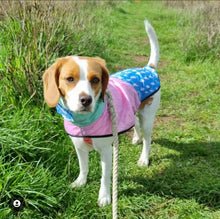 Load image into Gallery viewer, Reign Dog - Speed Of Light - Dog Raincoat