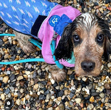 Load image into Gallery viewer, Reign Dog - Speed Of Light - Dog Raincoat