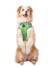 Load image into Gallery viewer, Groovy Grid: ADJUSTABLE HARNESS