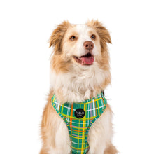 Load image into Gallery viewer, Groovy Grid: ADJUSTABLE HARNESS