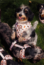 Load image into Gallery viewer, Dog Adjustable Harness - Weens Club
