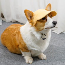 Load image into Gallery viewer, Best selling Corduroy dog hat