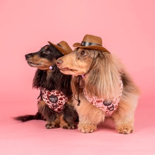 Load image into Gallery viewer, Rodeo: Adjustable Harness