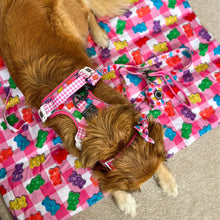 Load image into Gallery viewer, ON-THE-GO PET MAT: BEARY SWEET