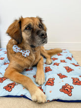Load image into Gallery viewer, ON-THE-GO PET MAT: CUDDLE CLUB
