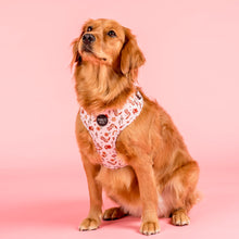 Load image into Gallery viewer, Howdy: Adjustable Harness