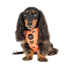 Load image into Gallery viewer, Bark Club: Adjustable Harness