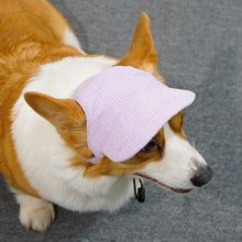 Load image into Gallery viewer, Best selling Corduroy dog hat