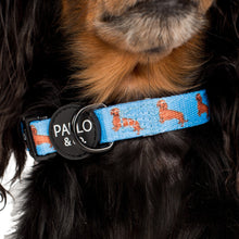 Load image into Gallery viewer, Dachshund- Collar