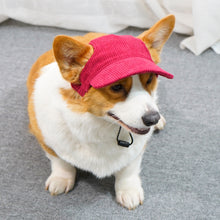 Load image into Gallery viewer, Best selling Corduroy dog hat