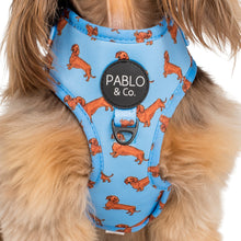 Load image into Gallery viewer, Pablo & co - Dachshund adjustable harness