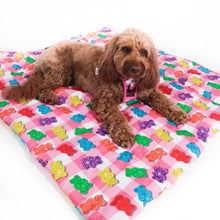 Load image into Gallery viewer, ON-THE-GO PET MAT: BEARY SWEET