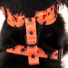 Load image into Gallery viewer, Bark Club: Adjustable Harness