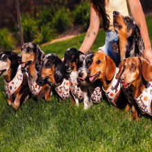 Load image into Gallery viewer, Dog Adjustable Harness - Weens Club