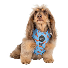Load image into Gallery viewer, Pablo & co - Dachshund adjustable harness