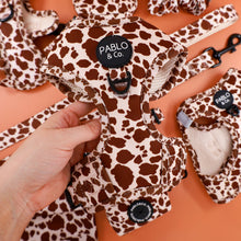 Load image into Gallery viewer, Rodeo: Adjustable Harness