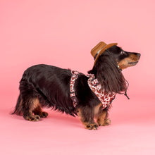 Load image into Gallery viewer, Rodeo: Adjustable Harness