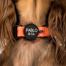 Load image into Gallery viewer, Bark Club: Collar