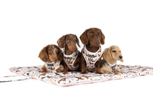 Load image into Gallery viewer, ON-THE-GO PET MAT: Dashie Lovers/Latte Gingham