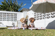 Load image into Gallery viewer, ON-THE-GO PET MAT: Dashie Lovers/Latte Gingham