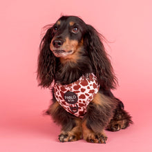 Load image into Gallery viewer, Rodeo: Adjustable Harness