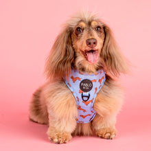 Load image into Gallery viewer, Pablo & co - Dachshund adjustable harness