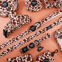 Load image into Gallery viewer, Rodeo: Adjustable Harness