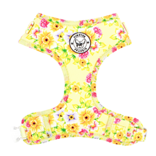 Load image into Gallery viewer, SUMMER FLING - ADJUSTABLE HARNESS