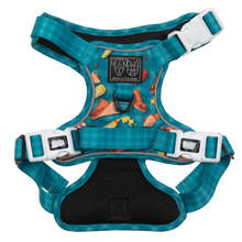 Load image into Gallery viewer, Big and Little Dogs - THE ALL-ROUNDER DOG HARNESS: Sausage Sizzle