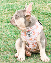 Load image into Gallery viewer, TEDDY BEARS PICNIC - ADJUSTABLE HARNESS